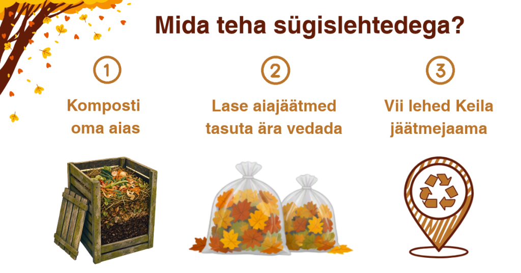Mida teha sügislehtedega.png